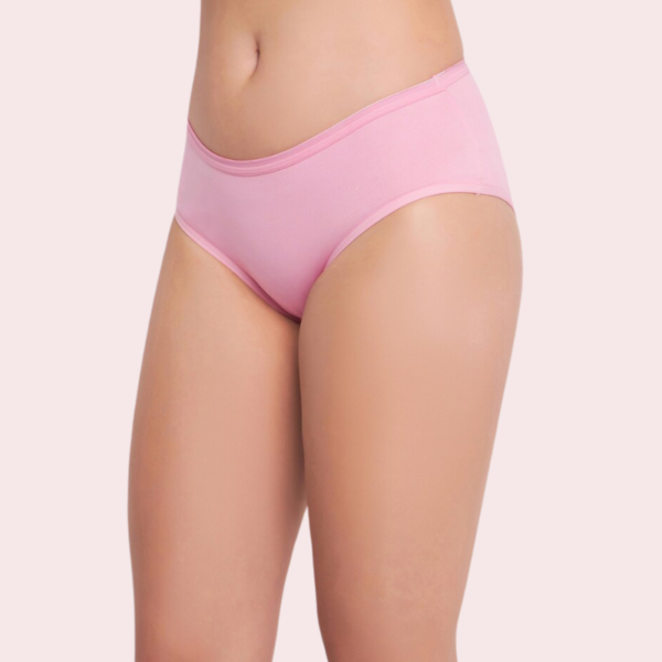 48 Pack of Womens Panties in Wholesale - Image 5