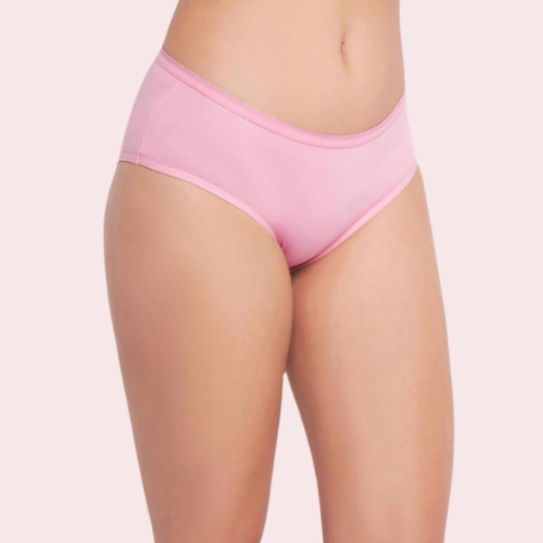 48 Pack of Womens Panties in Wholesale - Image 4