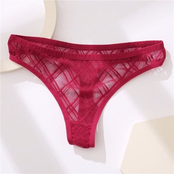 Ladies Low Waist Mesh Hollow Lace Panties - Image 3