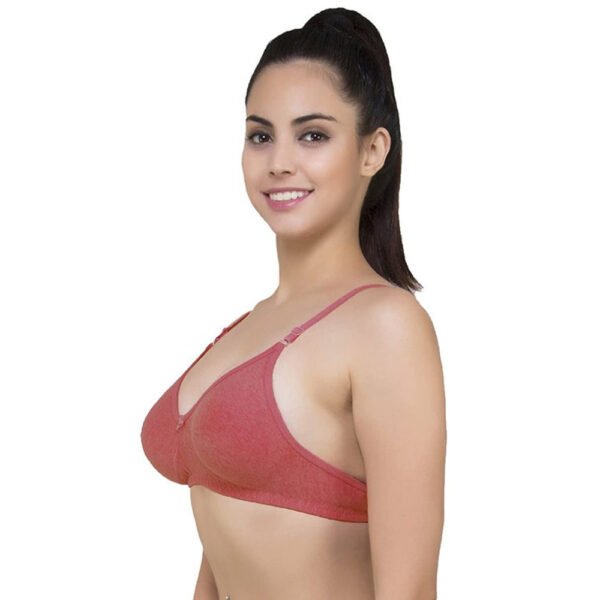 Lightly Padded classic comfort bra pack of 2 - Image 2